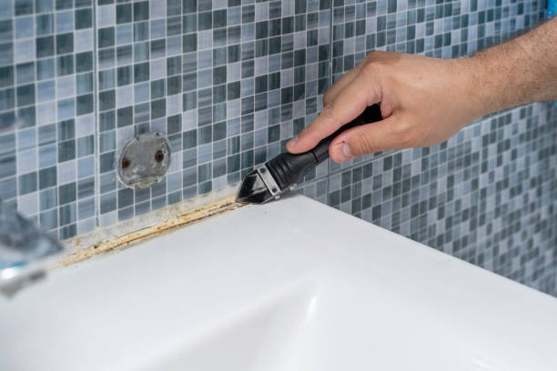 Best Local Mold Removal Service  in Mountain Home, AR